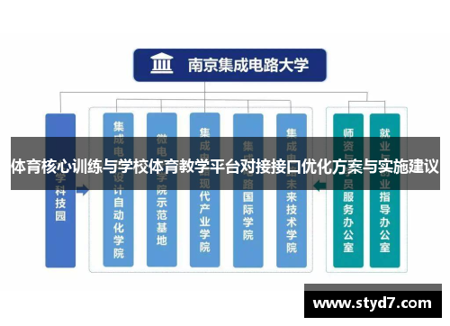 体育核心训练与学校体育教学平台对接接口优化方案与实施建议